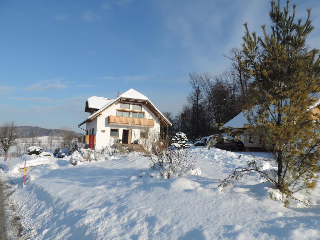 Villa Katarina Mokronog Екстер'єр фото