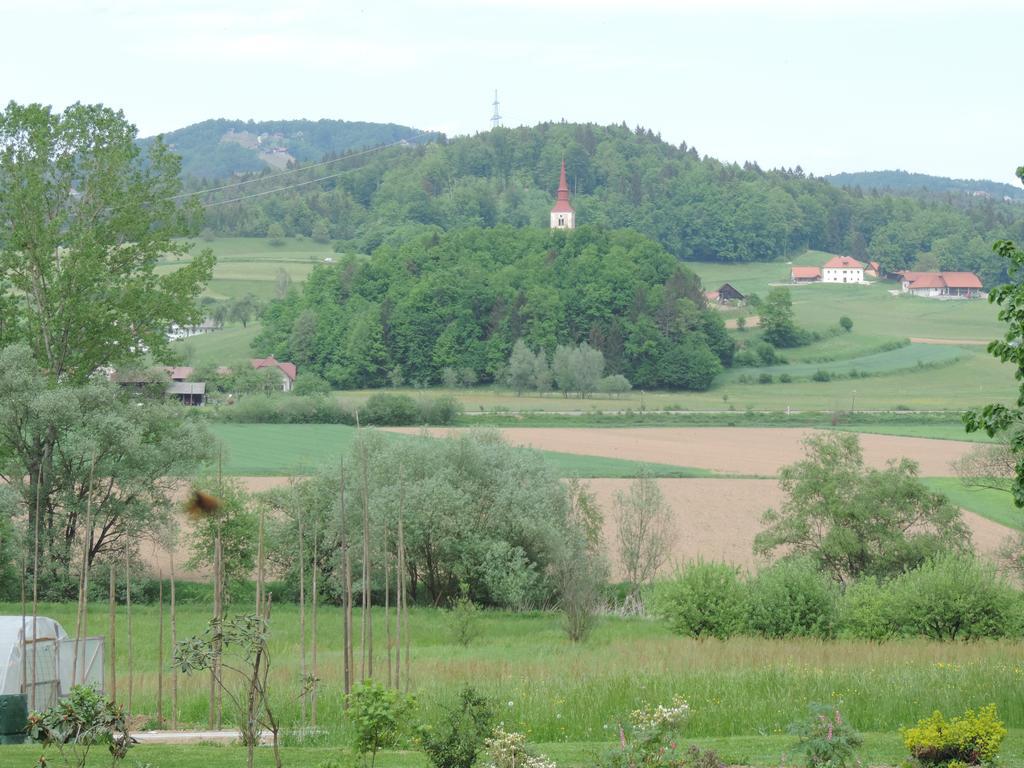 Villa Katarina Mokronog Екстер'єр фото